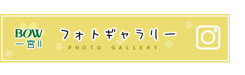 児童デイサービスbOW一宮2フォトアルバムギャラリー